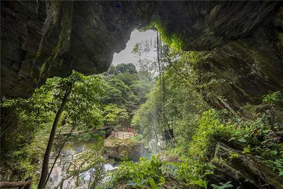 0d4cf2d2ff056a127625c61a7f4efa2