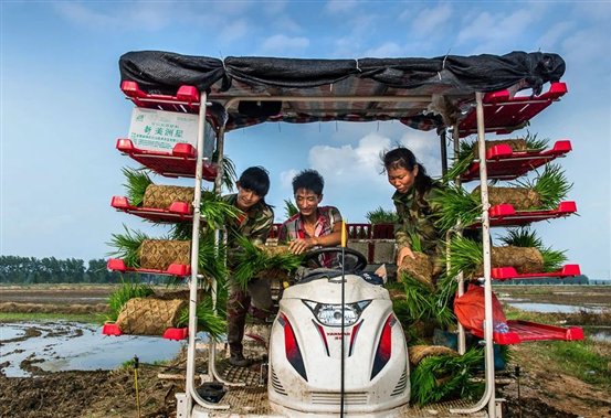 1721234342420ce986007490af041648